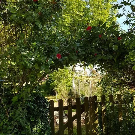 Camomilla Δωμάτια σε οικογενειακή κατοικία Ραβένα