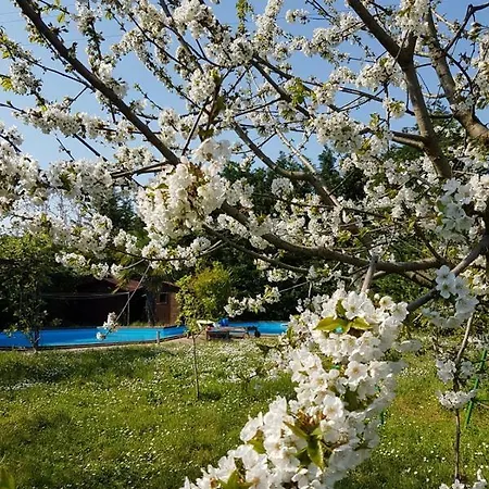 Camomilla Δωμάτια σε οικογενειακή κατοικία Ραβένα
