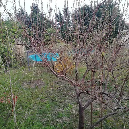 Camomilla Homestay szállás *