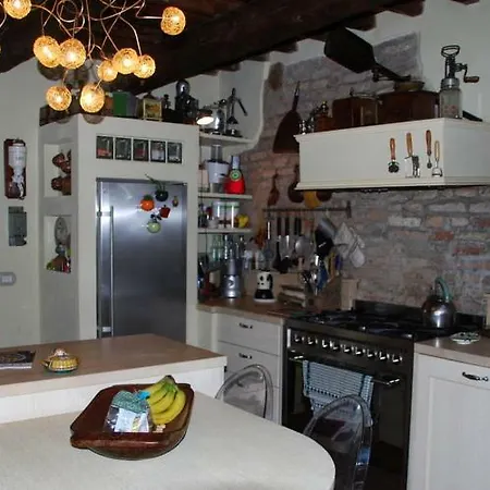Camomilla Alloggio in famiglia