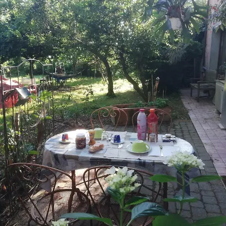 Camomilla Alloggio in famiglia *